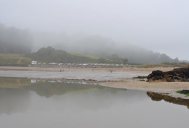 Hemmick Beach in the fog