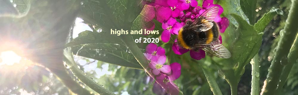 highs and lows of 2020